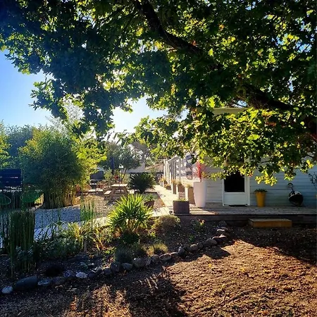Vakantiehuis Casa Marcel Deco Sympa Au Calme Dans La Pinede